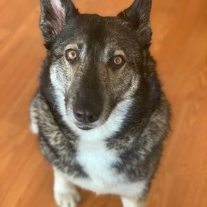 Meet your Posher, Amandeep